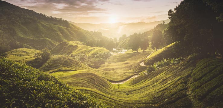 Politique environnementale Avis Chauffeur