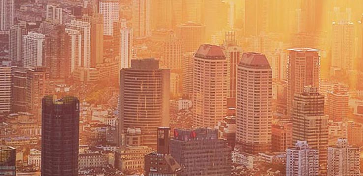 Service Affaires Avis Chauffeur