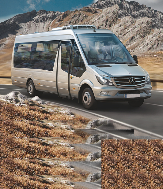 Chauffeur-driven minibuses and minivans